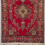 502965 Oriental rug